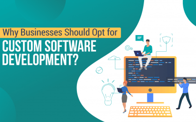 Why Businesses Should Opt for Custom Software Development?