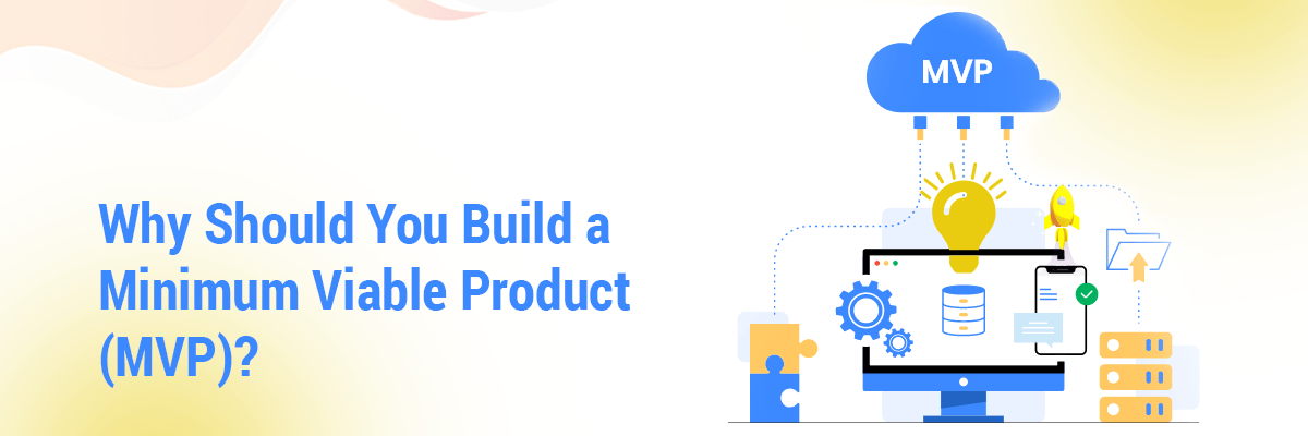 Why Should You Build a Minimum Viable Product (MVP)